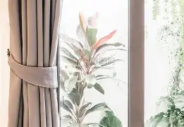 窗口期体能课后，斯图加特遗憾出局备战欧冠，更衣室稳定，细节决定成败